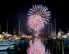 Happy 4th of July! Did you know fireworks get their unique colors from heavy metals such as copper (blue) and aluminum (white)?