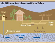 Did you know that sharehouses (which are illegal on the east end) overwhealm septic sytems polluting our groundwater (drinking water)?